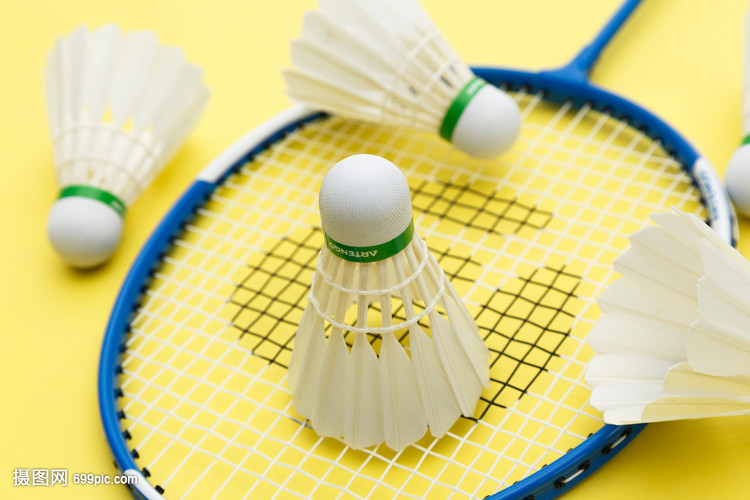 战术体系可 战术体系可